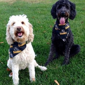 Meet your Posher, Mary ann